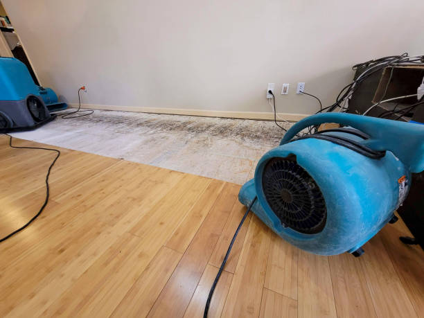 Professional Sewage Cleanup technician working in Sacaton, AZ